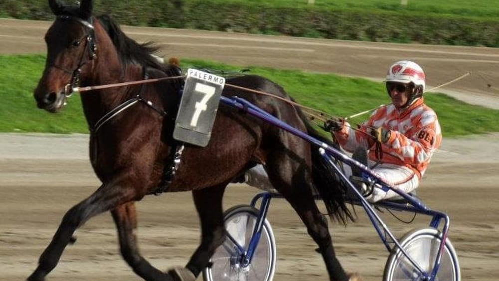 Ippodromo, primo giorno di corse nel ricordo di Falcone: nel centrale trionfa Gaspare Lo Verde