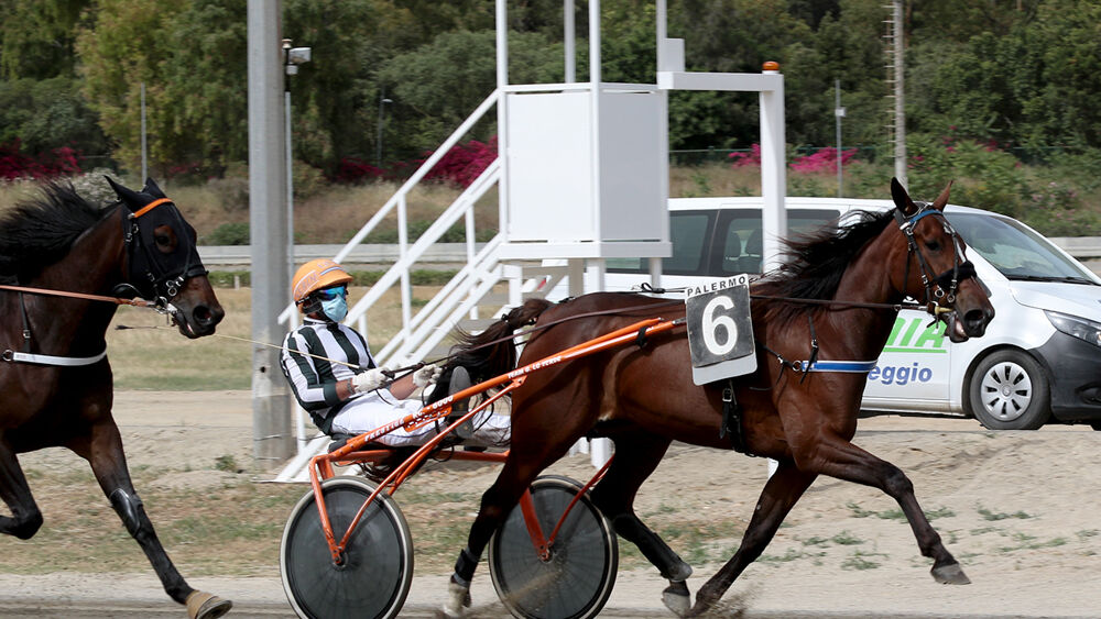 Seconda giornata di corse all’ippodromo: nel centrale altra vittoria di Lo Verde con Criss Cross