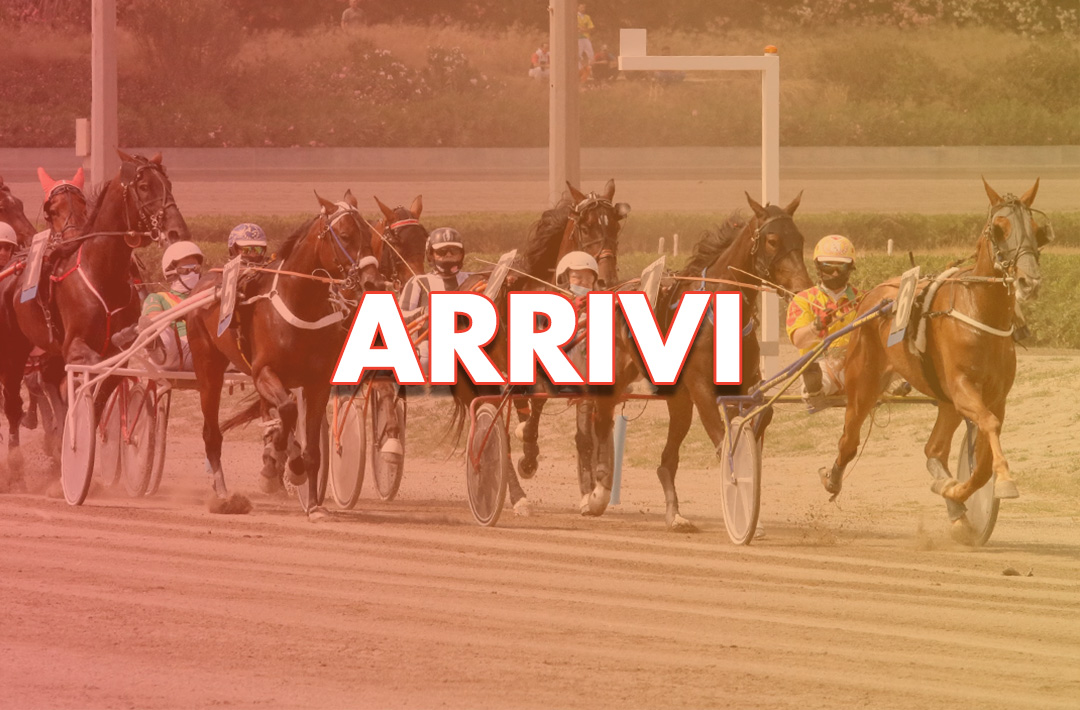 You are currently viewing Arrivi completi del 19 novvembre 2021