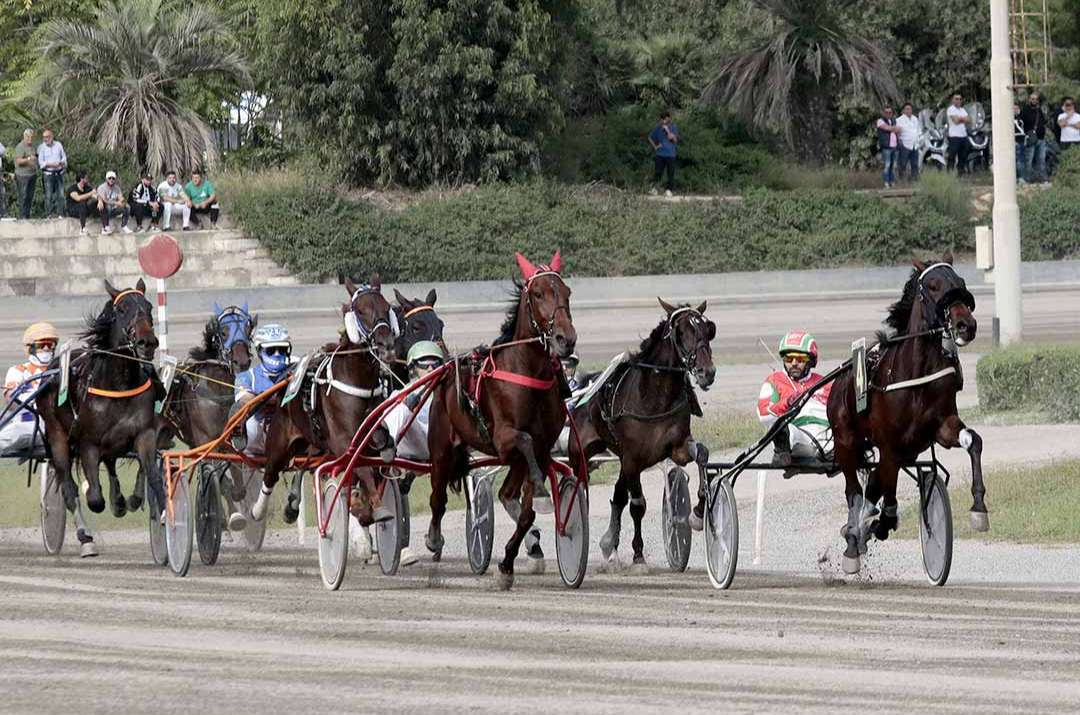 Tradizione e Internazionalità: sabato a Palermo con il Gran Premio Regione Sicilia e il Campionato Europeo Gentlemen – 21/10/2025