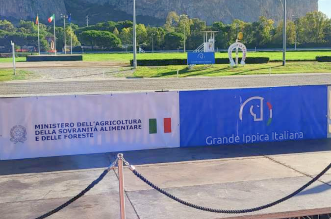 Gran Premio Mediterraneo: sale il sipario sulla sfida dei 3 anni alla Favorita